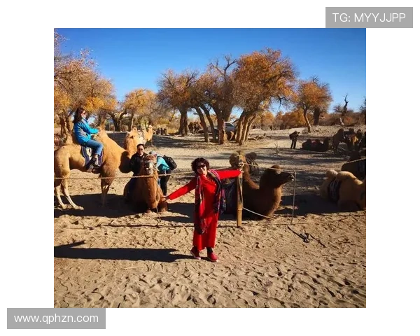 《阿诺拉》:一场关于爱、梦想与自由的绚烂烟火,燃尽人生无悔光芒 《阿诺拉》:一场关于爱、梦想与自由的绚烂烟火,燃尽人生无悔光芒